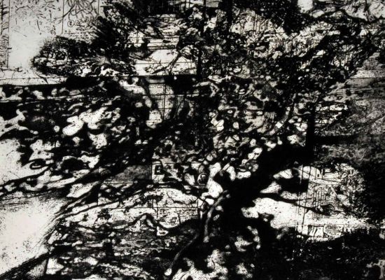 Collage-#-2,-50x50-cm,1976,etching,transfer,deepbite