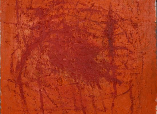 Tree Shadow, Oil on canvas, 120 x 120 cm, 2024