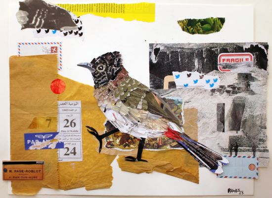 Rawan Alhousani - Untitled,46x49cm, Collage on paper, 2023