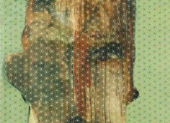 Face023 | 160cm x 145 cm | Mixed media on canvas | 2010